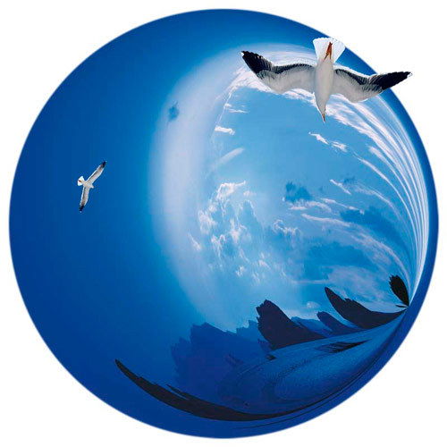 Алексей Маришкин