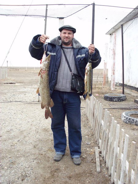 Сергей Исаенко