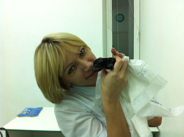 Ветеринарный Центр