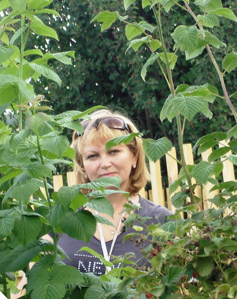 Людмила Касицкая