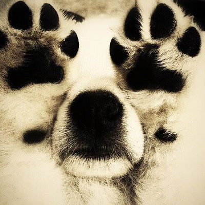 Ирина Распопова