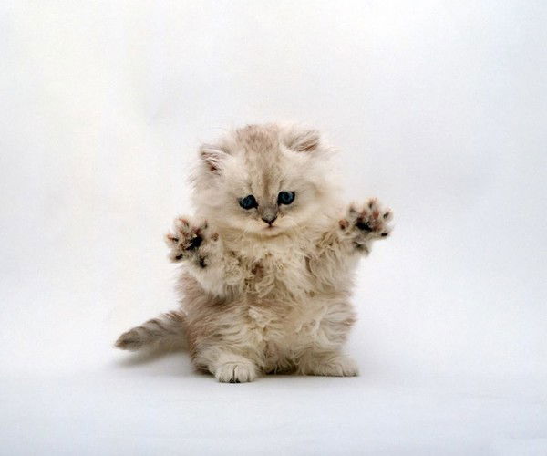 **922503** *********