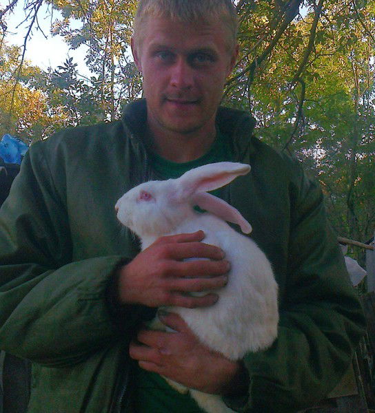 Сергеев Дмитрий