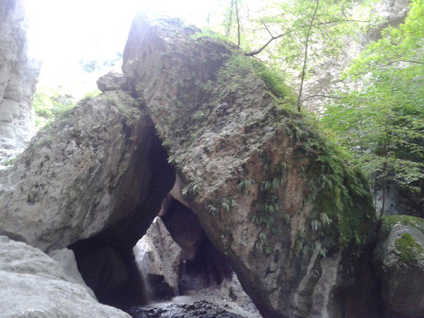 Олег Трушин