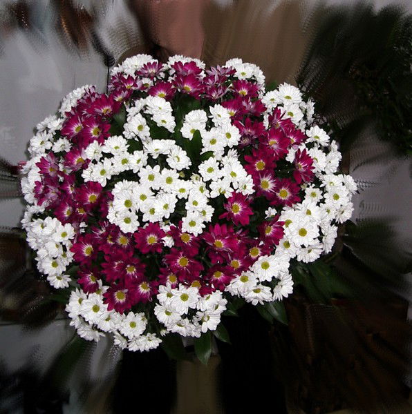 Света Макаренко