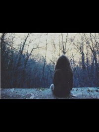 Катя Калиниченко