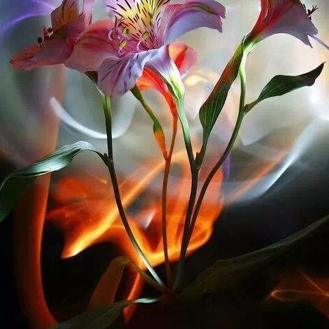 Оксана Бородина