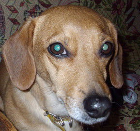 Неизвестно Неизвестно