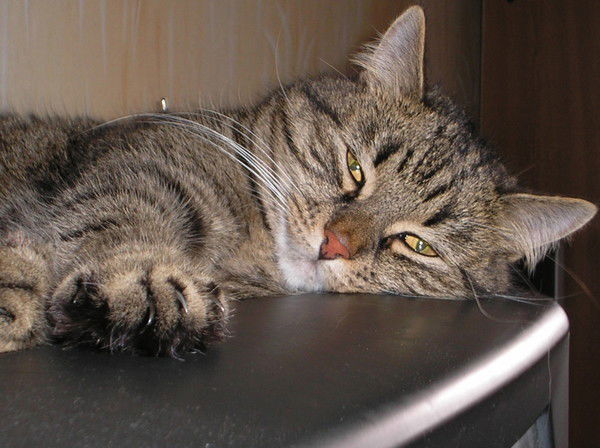 Андрей Югов