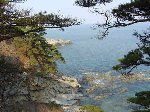 Екатерина Шевченко