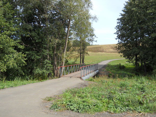 Лариса Кузина