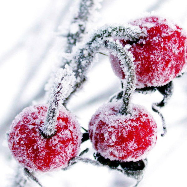 Любовь Горбачева