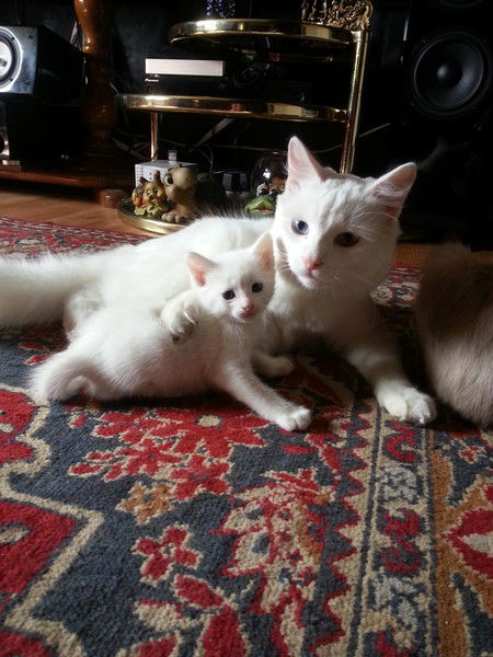 Любовь Турова