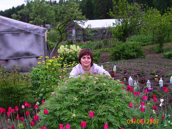 Юля Голикова