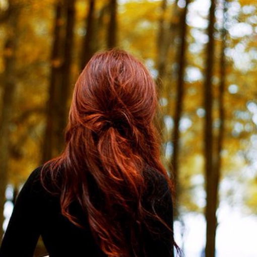 Елена Тимичева