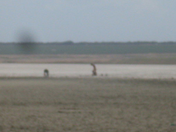 Наталия Северинова