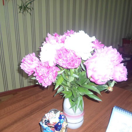 Раушан Бейсембекова