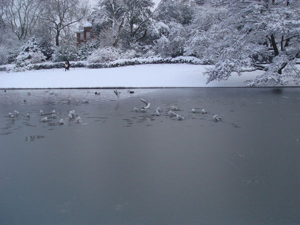 Тасыбаева Нургуль