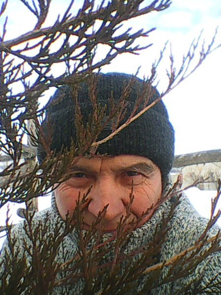 Валерий Андреев