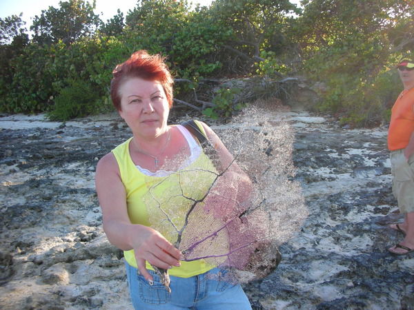 Елена Капралова