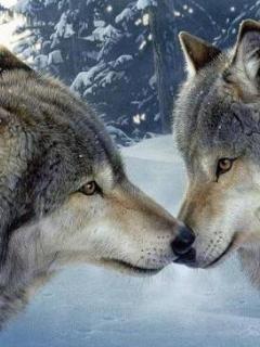 Алексей Бадгутов