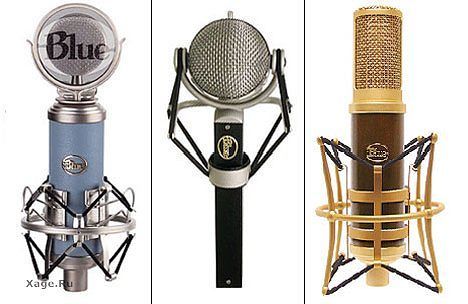 Люблю Жизнь