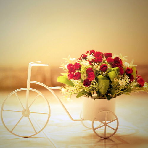 Таисия ........