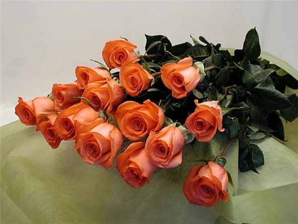 Лариса Олеговна Бебешко