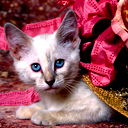 Лиза Гадиулина