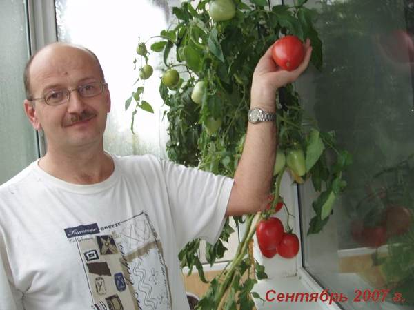 Михаил Куклин