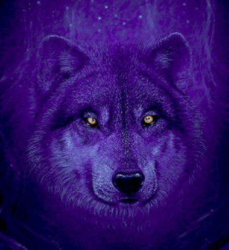 Михаил Попов