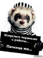 Алиев Руниз