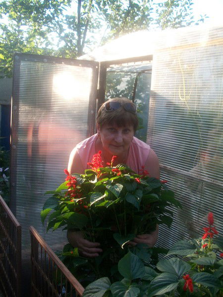 Людмила Махнева