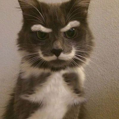 Паша Шустов