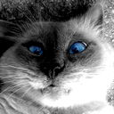 Котофей Котофеевич