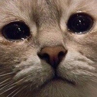 Марк Демченко