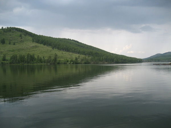 Елена Кацович