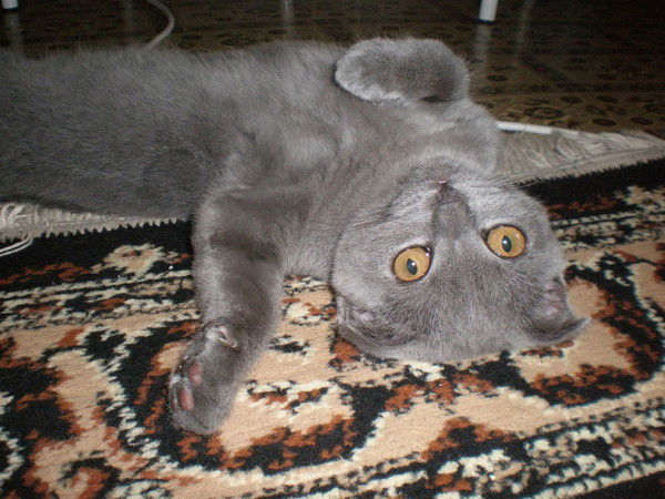 Оксана Зайцева