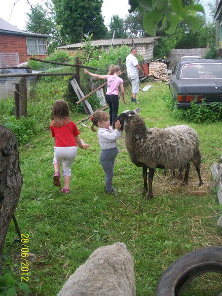 Катюша Доброва