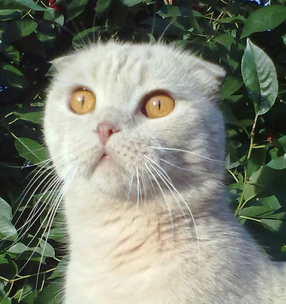 Сергей Дуганов