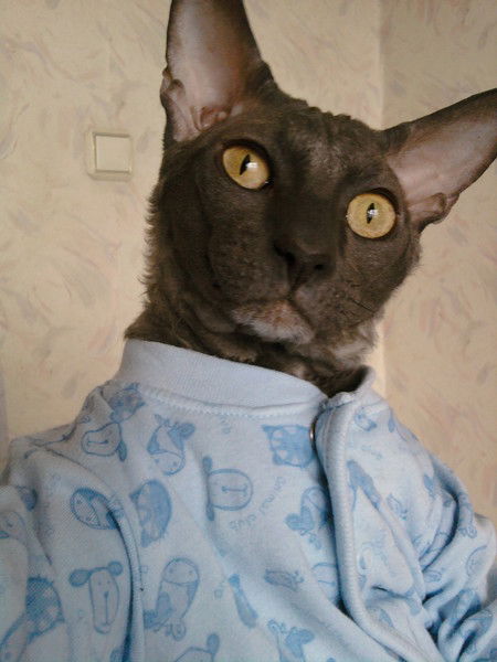 Стас Ясевич