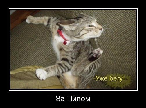 Вагиф Паратов