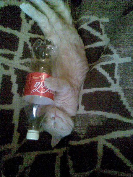 Константин Марков