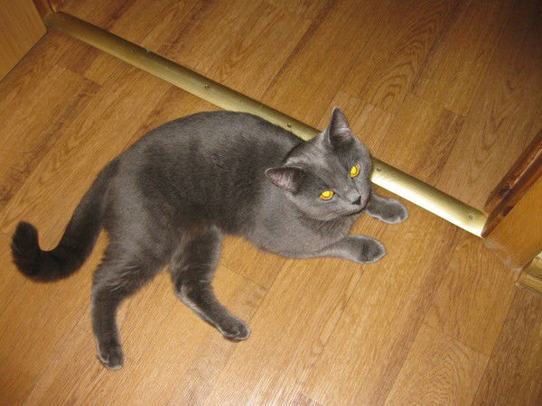 Татьяна Лымарь