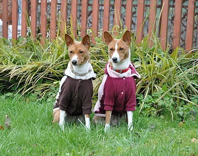 Руслан Остроух