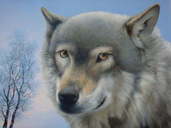 Владимир Вильхивский