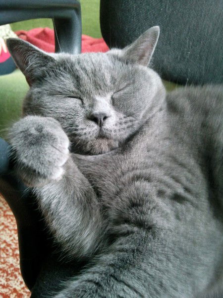 Марина Иванова