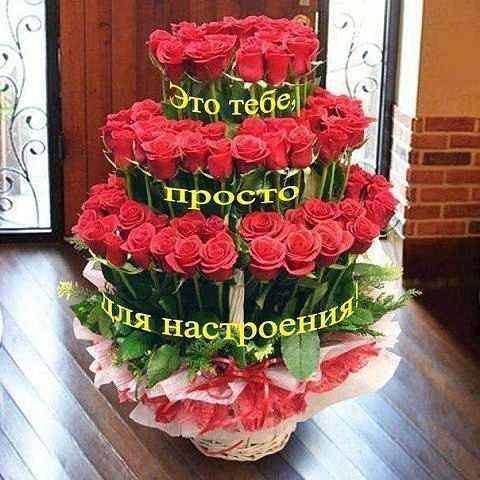 Оленька Оля