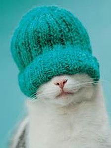 Алла Цимбалюк