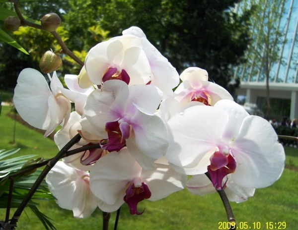 Азиза Азизова